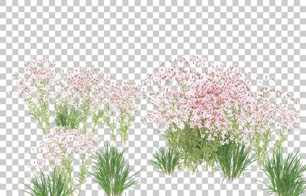 Blumenfeld auf transparentem Hintergrund. 3D-Rendering - Abbildung