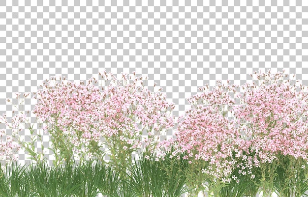 Blumenfeld auf transparentem Hintergrund. 3D-Rendering - Abbildung