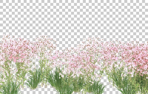 Blumenfeld auf transparentem Hintergrund. 3D-Rendering - Abbildung