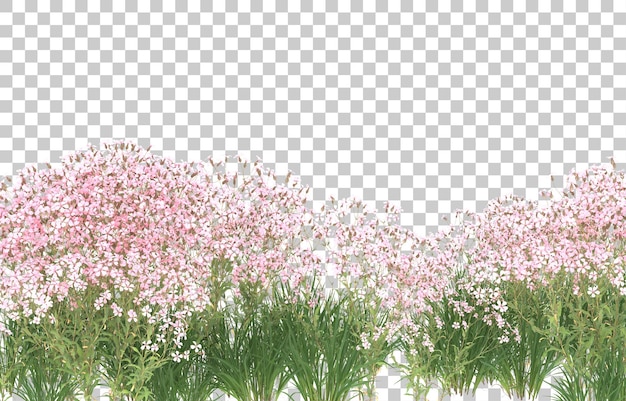 Blumenfeld auf transparentem Hintergrund. 3D-Rendering - Abbildung