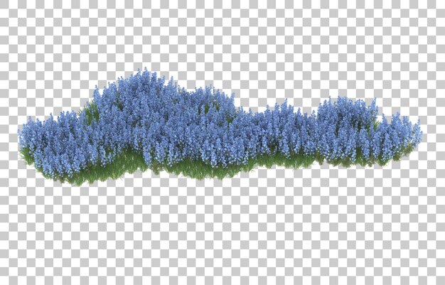 Blumenfeld auf transparentem Hintergrund. 3D-Rendering - Abbildung