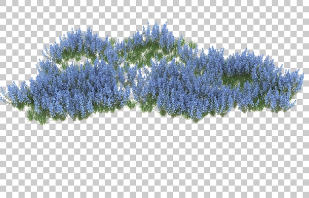 Blumenfeld auf transparentem Hintergrund. 3D-Rendering - Abbildung