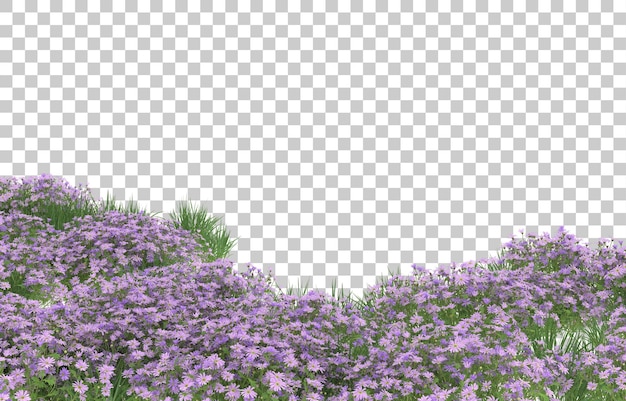 Blumenfeld auf transparentem Hintergrund. 3D-Rendering - Abbildung
