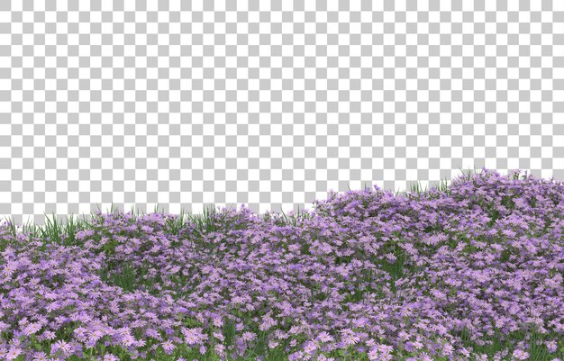 Blumenfeld auf transparentem Hintergrund. 3D-Rendering - Abbildung