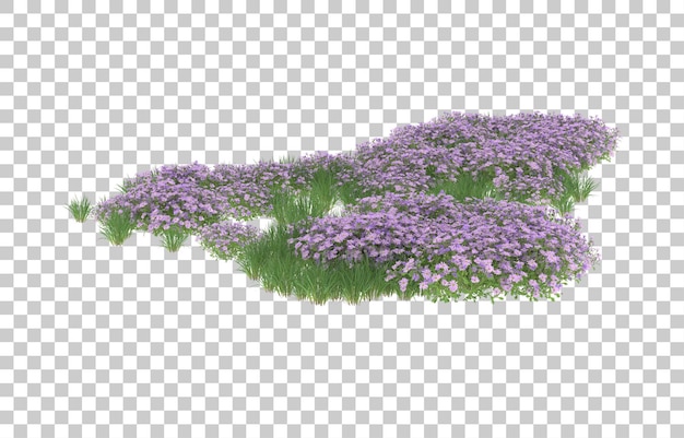 Blumenfeld auf transparentem Hintergrund. 3D-Rendering - Abbildung