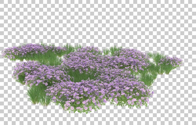 Blumenfeld auf transparentem Hintergrund. 3D-Rendering - Abbildung