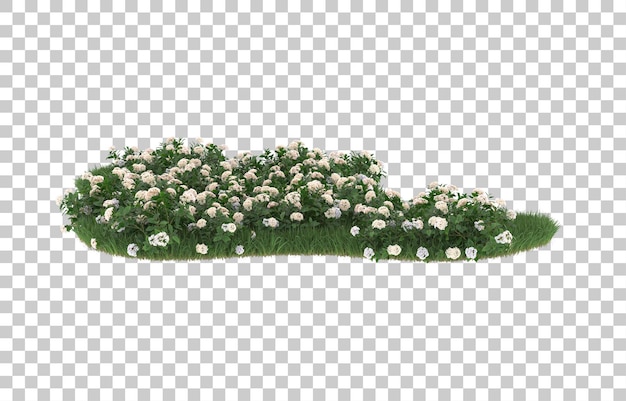 Blumenfeld auf transparentem Hintergrund. 3D-Rendering - Abbildung