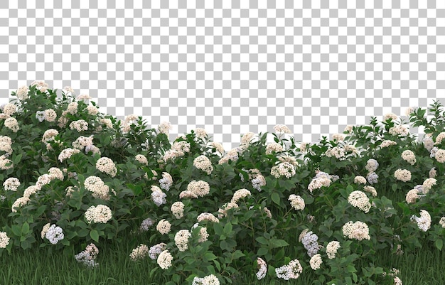 Blumenfeld auf transparentem Hintergrund. 3D-Rendering - Abbildung