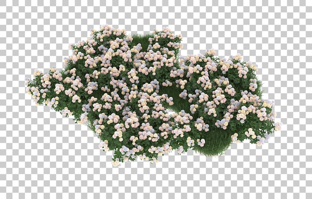 Blumenfeld auf transparentem Hintergrund. 3D-Rendering - Abbildung