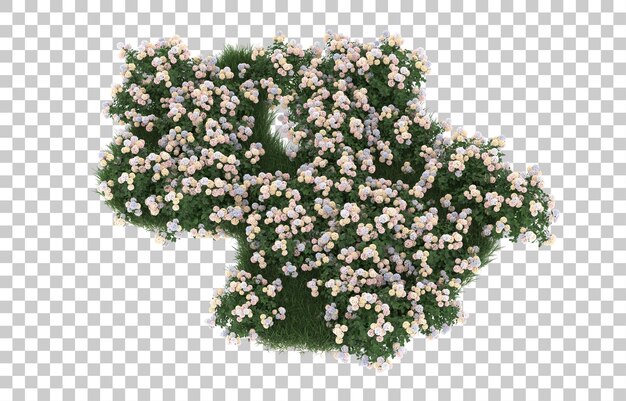 Blumenfeld auf transparentem Hintergrund. 3D-Rendering - Abbildung