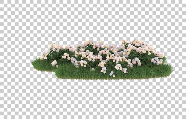 Blumenfeld auf transparentem Hintergrund. 3D-Rendering - Abbildung