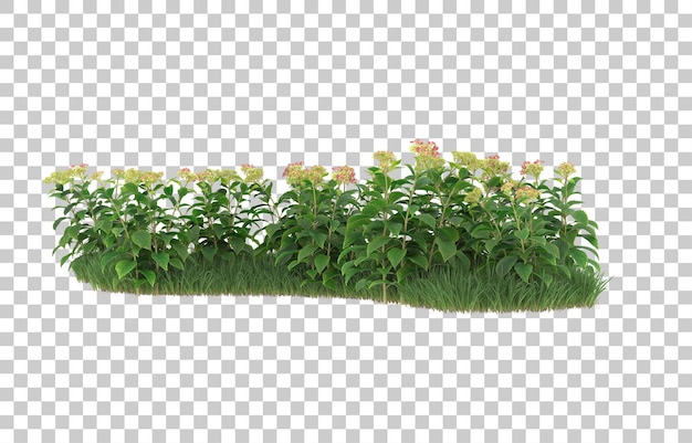 Blumenfeld auf transparentem hintergrund. 3d-rendering - abbildung