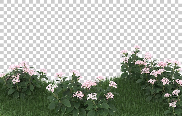Blumenfeld auf transparentem Hintergrund. 3D-Rendering - Abbildung