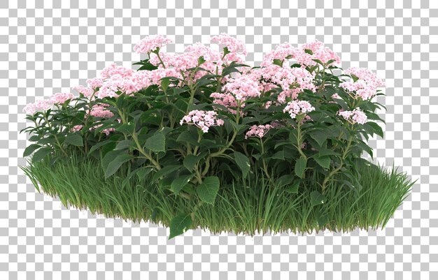 Blumenfeld auf transparentem Hintergrund. 3D-Rendering - Abbildung