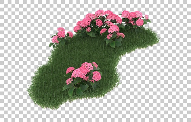 Blumenfeld auf transparentem hintergrund. 3d-rendering - abbildung