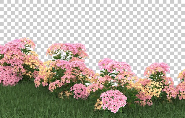 Blumenfeld auf transparentem Hintergrund. 3D-Rendering - Abbildung