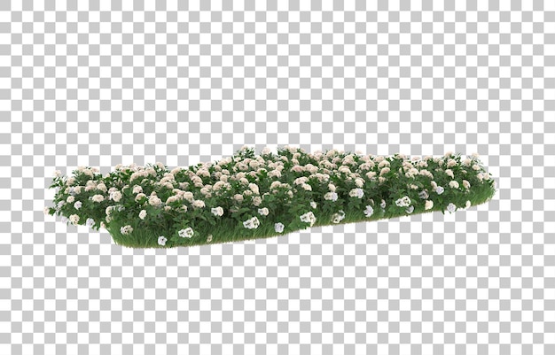 Blumenfeld auf transparentem Hintergrund. 3D-Rendering - Abbildung