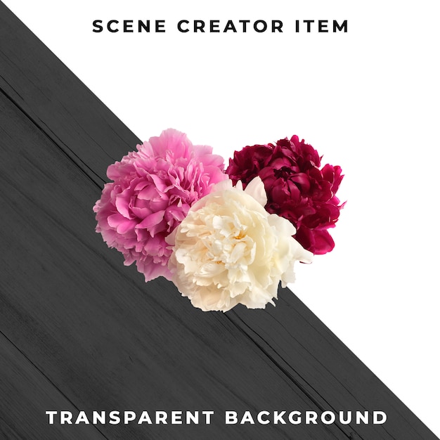 Blumenobjekt transparent PSD