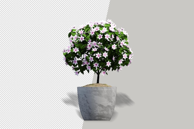 Blumenpflanze in Vase in 3D-Rendering isoliert