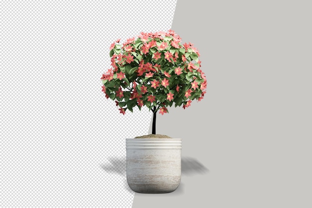 Blumenpflanze in vase in 3d-rendering isoliert