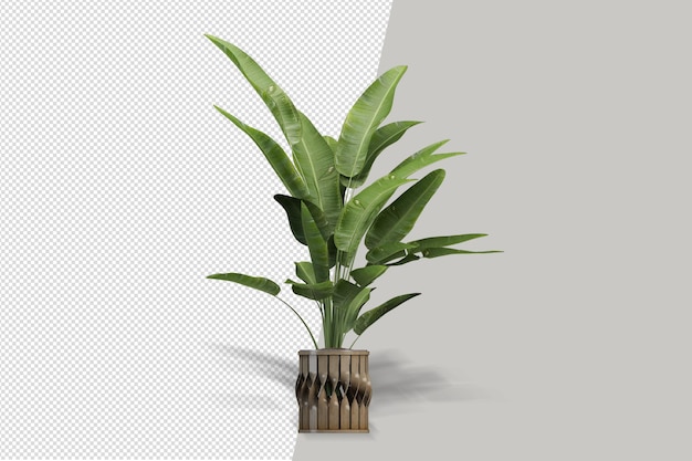 PSD blumenpflanze in vase in 3d-rendering isoliert