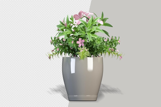 Blumenpflanze in vase in 3d-rendering isoliert