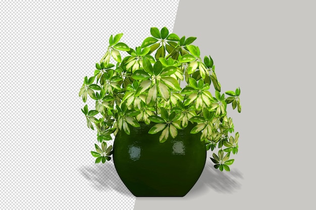 PSD blumenpflanze in vase in 3d-rendering isoliert