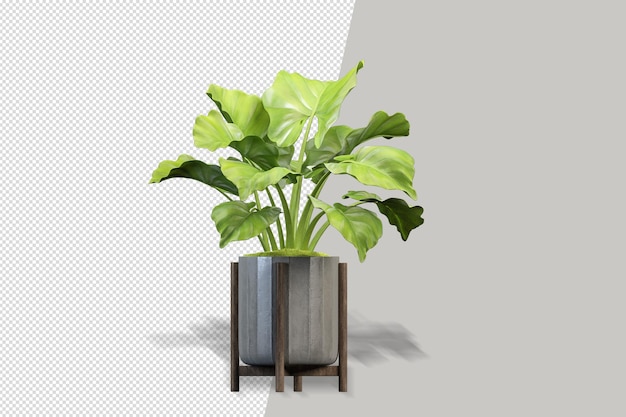 Blumenpflanze in Vase in 3D-Rendering isoliert