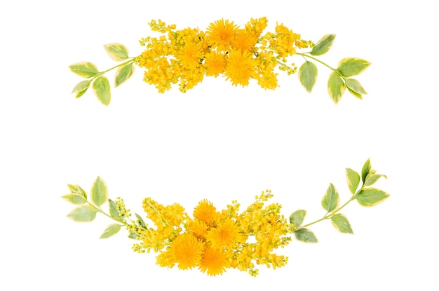 Blumenrahmen isoliert