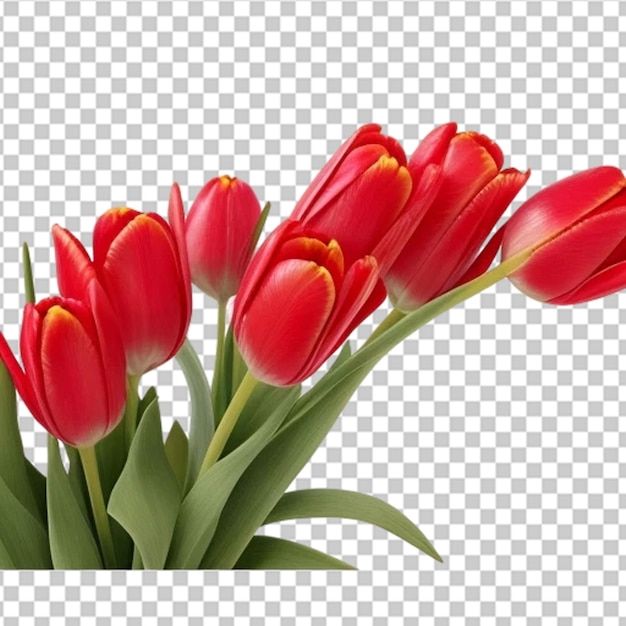 PSD blumenstrauß von tulpen