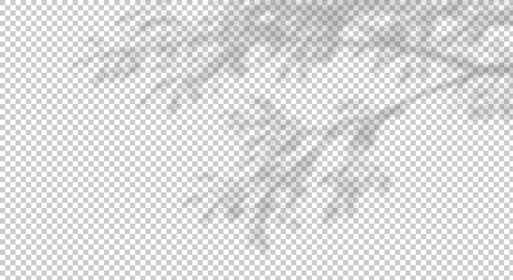 PSD blur schatten baumzweige sonnenschatten schnitt auf transparenten hintergründen 3d-render