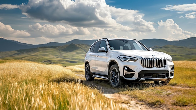 PSD bmw x7 conducido en un prado