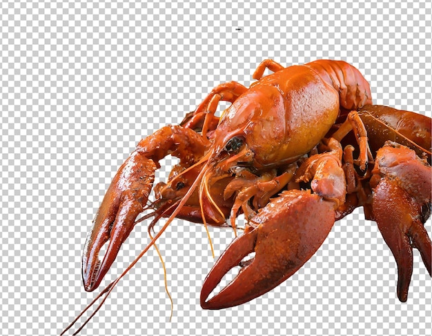 Boiled crayfishes isolated on transparent background