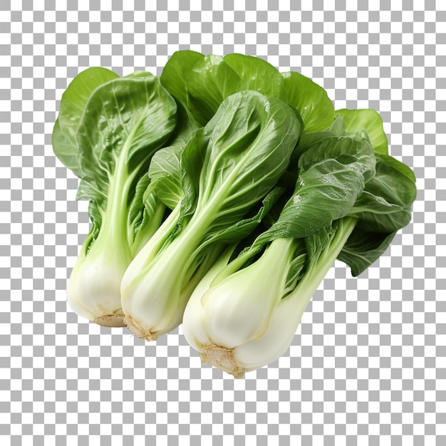 Bok Choy Sur Un Fond Transparent