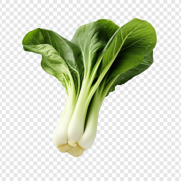 Bok choy frais isolé sur fond transparent