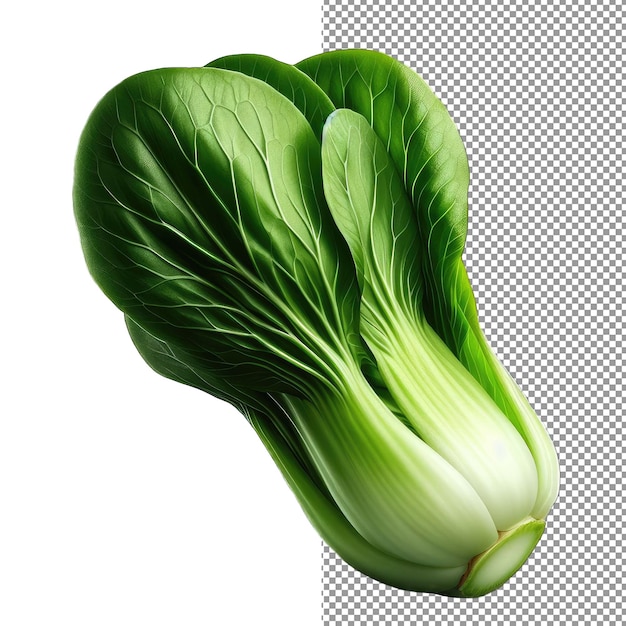 PSD bok choy leavespng isolé