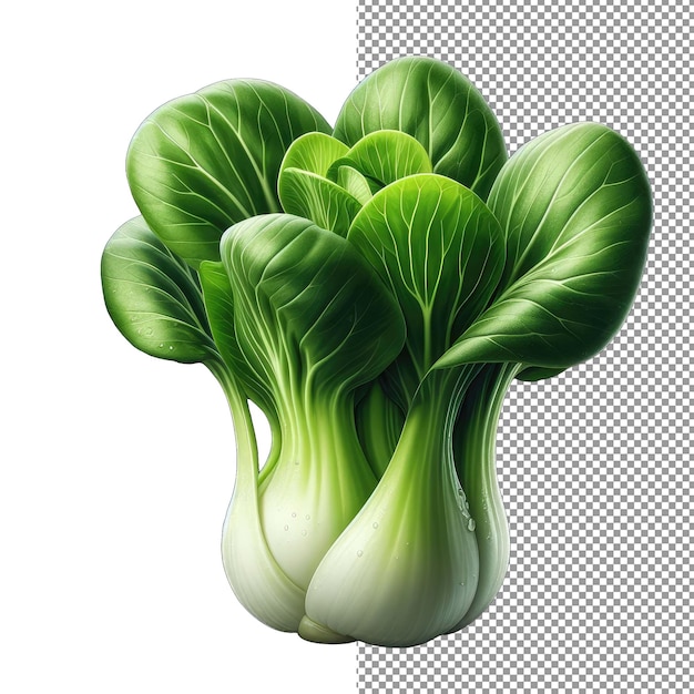 PSD bok choy leavespng isolé