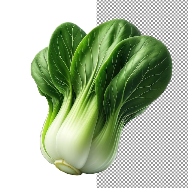 PSD bok choy leavespng isolé