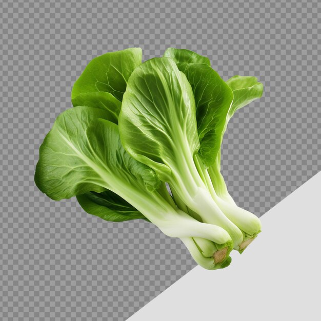 PSD bok choy png isoliert auf durchsichtigem hintergrund