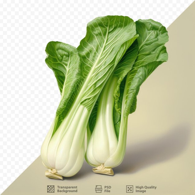 PSD bok choy vu sur un fond transparent