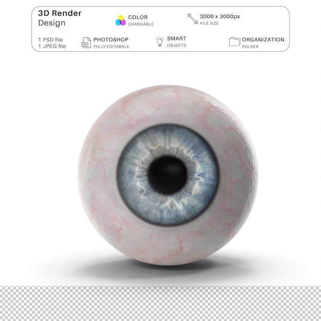 PSD bola de olho humano modelagem 3d arquivo psd anatomia humana realista