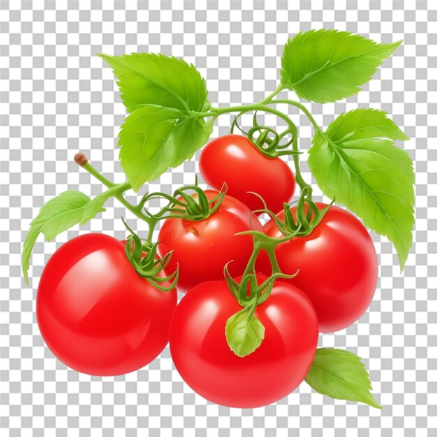 PSD bonito tomate rojo fresco aislado trasfondo transparente