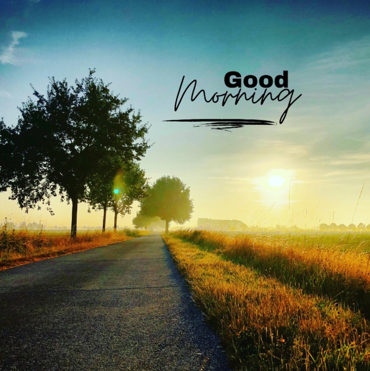 PSD bonjour sur instagram