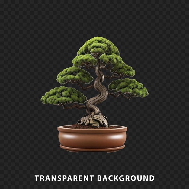 Bonsai em uma panela isolada em fundo transparente