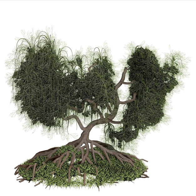 El bonsai en un entorno natural