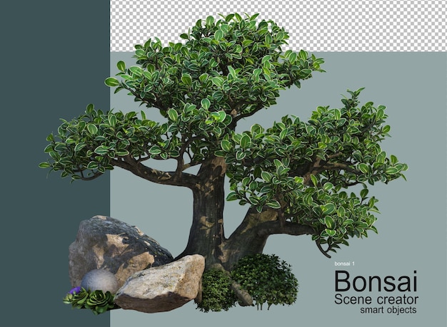 Bonsai-garten mit dekorativen steinen