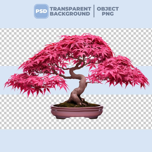 PSD bonsaï japonais rose psd png