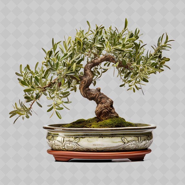 PSD un bonsai en pot avec le mot bonsai dessus