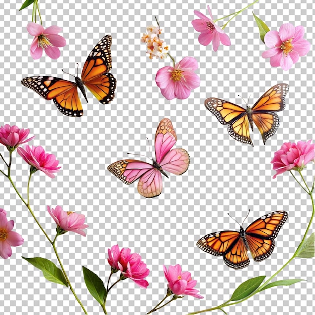 PSD borboleta e flor rosa em transparente