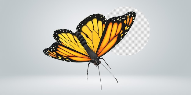 Borboleta isolada em um fundo transparente
